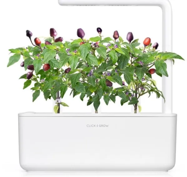 Sale Click & Grow Smart Garden refill Lila Chilipeppar 3st Kit För Växt- & Örtplantering