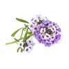 Online Click and Grow - Smart Garden Refill 3-pack Sweet Alyssum Blommor