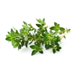 Online Click and Grow - Smart Garden Refill 3-pack - Thyme (SG-008) Kit För Växt- & Örtplantering