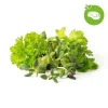 Online Click and Grow Smart Garden Refill 9-pack Grill & Steak Mix Kit För Växt- & Örtplantering