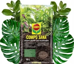 Clearance Compo Sana Substrat för gröna växter och palmer 10L Torv, perlit, agrosil, kalk Compo Sana Jord & Sand