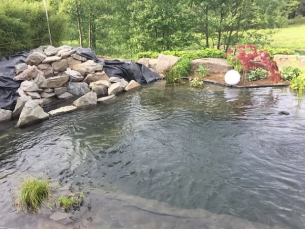 Dammfoder PVC 10 m x 6 m 0,5 mm Svart Trädgårdsdammfoder