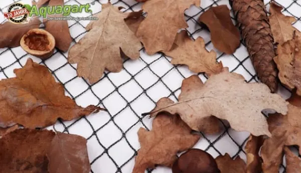 Sale Dammnät 10 m x 4 m Svart Fiskdammsnät Bladnät Nät Fågelskyddsnät robust För Fåglar & Småvilt