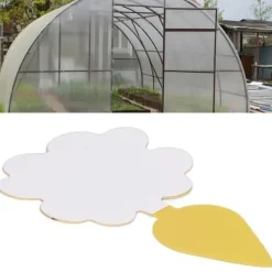 Online Drfeify Fruit Flugfällor 50st Fungus Gnat Killer Fånga effektivt insekter Skadedjursfällor