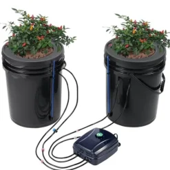 Hot DWC Hydroponics Odling System Djupvattenkultur med Top Drip 2 Hinkar, effektiv växtodling, hydroponisk odlingsteknik Kit För Växt- & Örtplantering