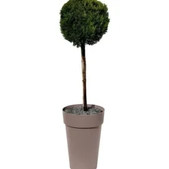 EDA Kruka/Hög Vas TOSCANE - 67 L - Ø 46 x H 65 cm - Taupe