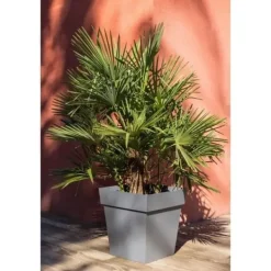 Outlet EDA Toscana fyrkantig kruka - 50 cm - 87 L - Antracitgrå Krukor & Växtbehållare