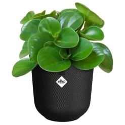 New ELHO Blomkruka Jazz Rund - Svart - Ø 26 x H 24 cm - Inomhus - 100% återvunnen Krukväxter Inomhus