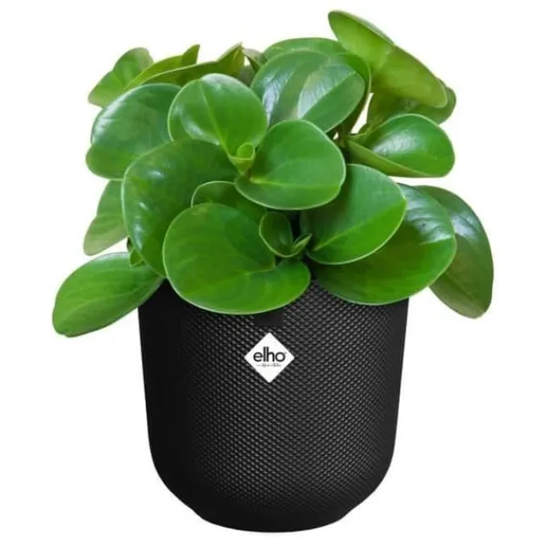 New ELHO Blomkruka Jazz Rund - Svart - Ø 26 x H 24 cm - Inomhus - 100% återvunnen Krukväxter Inomhus