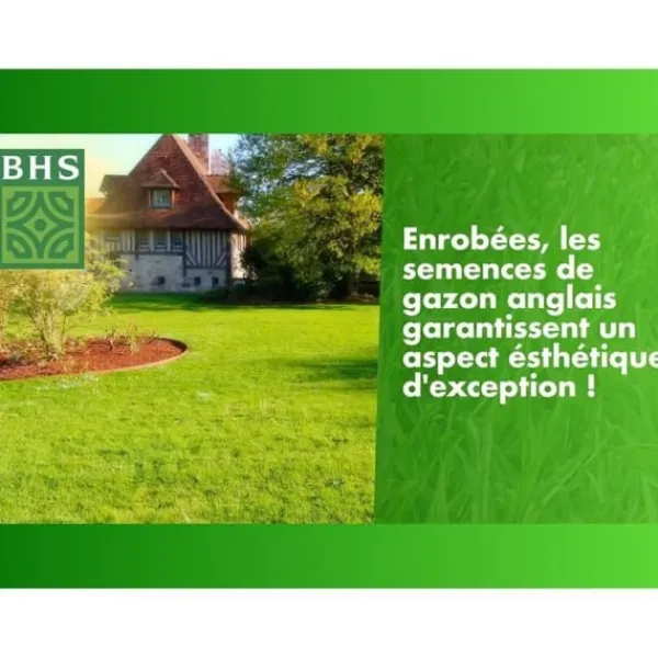 Discount Engelsk gräsmatta - BHS - 10 kg för exklusiva trädgårdar Gödningsmedel