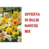 Online ERBJUDANDE 50 NARCISSKOLOR MIX BULBAR Fröer & Lökar