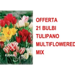ERBJUDANDE 21 TULPANBULB MULTIFLORAL BLANDNING BULBERR Fröer & Lökar