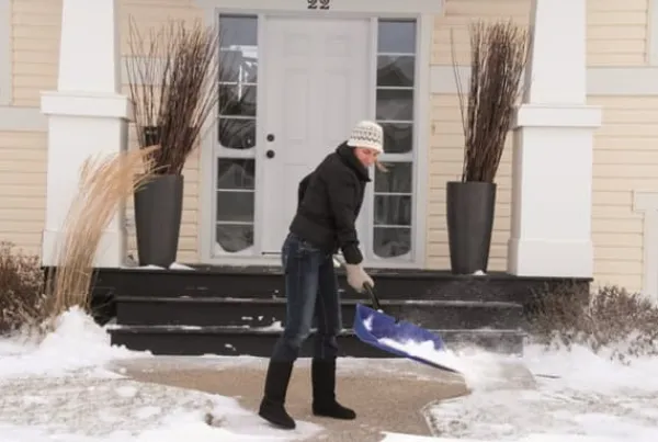 ERGOSPECIAL snöskyffel