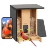 Fågelmatare - Birdfy Bamboo - HD WiFi Kamera - Solenergi - AI Artighetsigenkänning