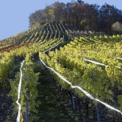 Clearance Fågelskrämma Reflekterande Band - 45m Insektsmedel & Djuravvisande Medel