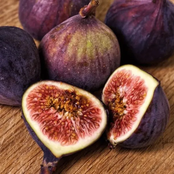 Fikon - Set om 2 - Ficus Carica - Höjd 70-90cm - ⌀21cm