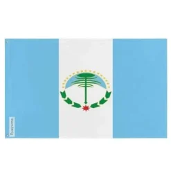 Online Flagga - Neuquén - 160 x 240 cm - Polyester - Tryck på fram- och baksidan - Metallöglor Flaggor & Vindstrutar