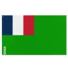 Flagga för den 1:a oberoende republiken Guyana 64 x 96 cm