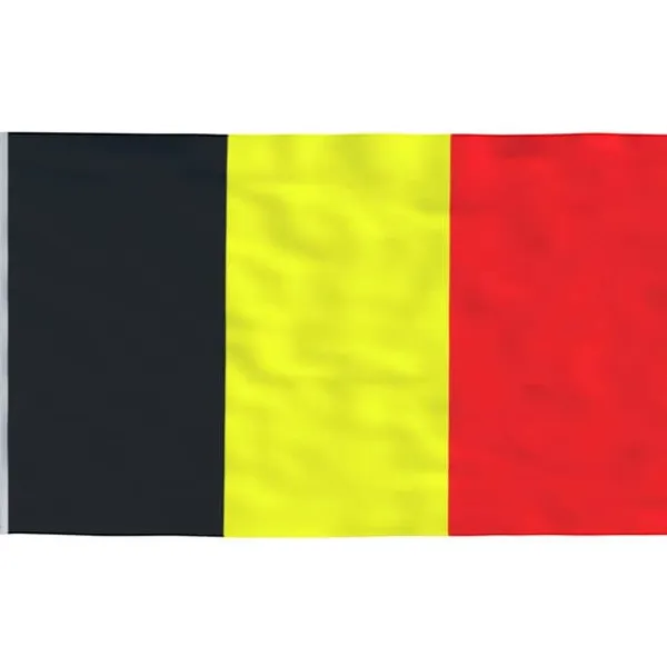 Flaggor & vindstrutar - Living Belgiens flagga och flaggstång 5,55 m aluminium