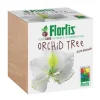 FLORTIS PLANTCUBE ORKIDETRÄD 7,5X7,5X7,5 CM GIARDINAGGIO PIANTE FIORI Kit För Växt- & Örtplantering