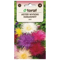 Frö till Chinese Needle Aster Mix – Högväxande och färgstark sommaraster