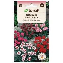 Sale Frö till fjädernejlika Spring Beauty Mix – Doftande och långblommande perenn Fröer & Lökar