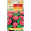 Outlet Frö till rosa dahlia-zinnia – Stora, fyllda blommor för rabatter och buketter Fröer & Lökar