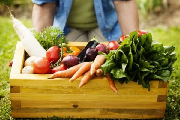 FÄRDIG BIOJORD FÖR GRÖNSAKER OCH TOMATER BIOVITA 20L