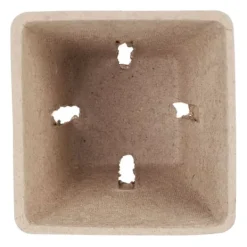 Best Frökrukeset, 5.5x6x6 cm, Brun Kit För Växt- & Örtplantering