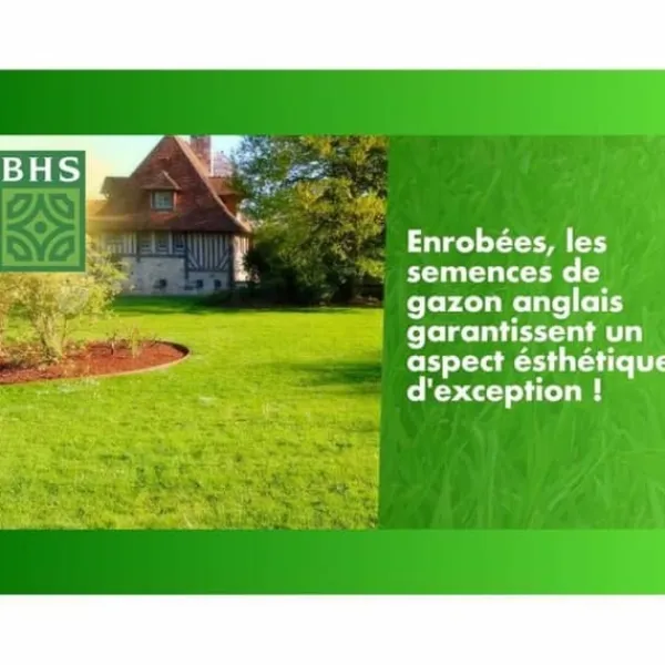Sale Frön BHS Gazon Anglais 10 kg Fröer & Lökar