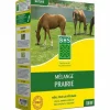 Frön BHS Mélange 500 g