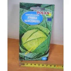 Sale frön DITMAR KÅL 2g PN4430 Fröer & Lökar