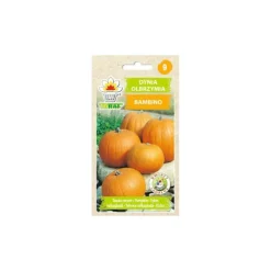 Sale frön 5g BAMBINO PUMPA | TF1295 Fröer & Lökar