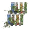 Fruktträd - Set om 8 - Actinidia, Vaccinium, Lycium - Höjd 25-40cm - ⌀9cm