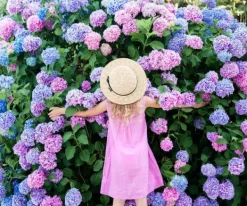 Garden Start Granulerad hortensia gödselmedel 2kg Gödningsmedel