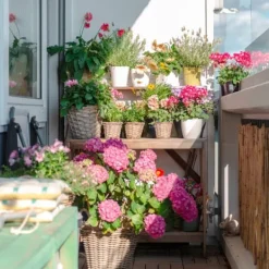 Garden Start Granulerad hortensia gödselmedel 2kg Gödningsmedel