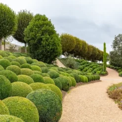 Gödselmedel för Thujas, Arborvitaes, Barrträd, Garden Start 5 kg Gödningsmedel
