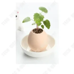 Ägg växter - TD - Miniatyrträdgård - ekologisk - Hantverk - Trädgårdsgåva