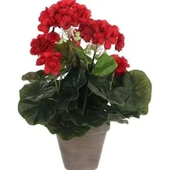 Online Géranium - MICA Dekorationer - 975161 - Stora röda blommor - Inomhus - Kök Krukväxter Inomhus