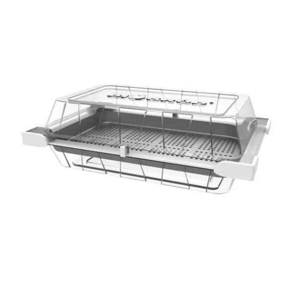 Clearance Gröna groddar med Rädisafrön Kit För Växt- & Örtplantering