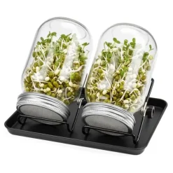 Clearance Groddningsburkar Set, 16,5x10 cm, Glas Kit För Växt- & Örtplantering