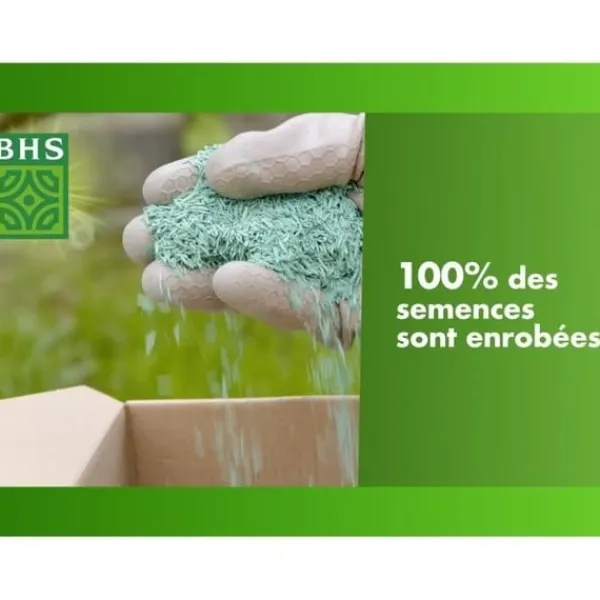 Discount Gräs - BHS - Ängsblandning 5 kg | 500 m² | För stora ytor och betesmarker | Snabb att installera, hållbar, underhållsfri. Jord & Sand