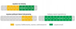 Sale Gräs 1kg Självgödsande med mikroklöver Torktålig dekorativ 40m2 Fröer & Lökar