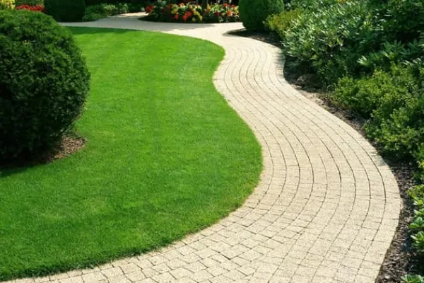 New Gräs 5kg SOS Regenerativa Gräsfrön för Översådd 200m2 Egarden Fröer & Lökar