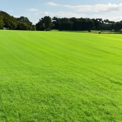 New Gräs 5kg SOS Regenerativa Gräsfrön för Översådd 200m2 Egarden Fröer & Lökar