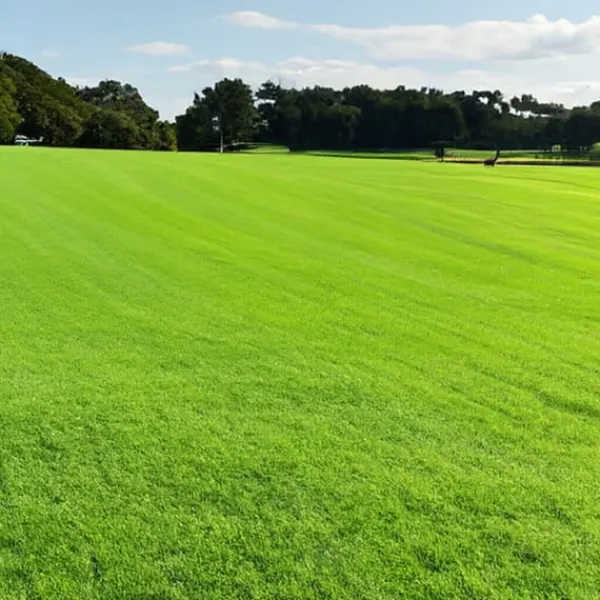 New Gräs 5kg SOS Regenerativa Gräsfrön för Översådd 200m2 Egarden Fröer & Lökar