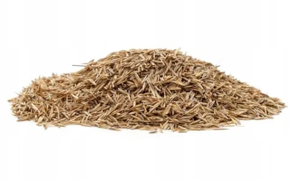 New Gräs 5kg SOS Regenerativa Gräsfrön för Översådd 200m2 Egarden Fröer & Lökar
