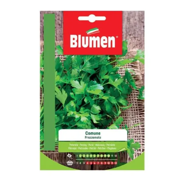 Clearance HALV GRÖNAR COMMON BLUMEN FRÖ TRÄDGÅRD Fröer & Lökar