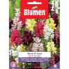 Clearance HALV LEJONHUVUD HÖG BLANDAT BLOMMOR FRÖTRÄDGÅRD BLUMEN Fröer & Lökar