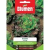 HALV SALLAD KORG BLUMMA SALLAD
